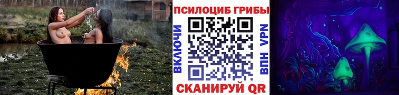 Галлюциногенные грибы мухоморы  даркнет сайт  блэк спрут ССЫЛКА  Междуреченск 